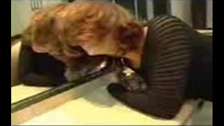 Masturbado kaj ass fucked