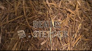 Лучистый сеннен