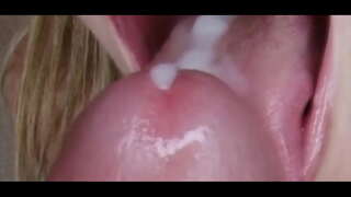 ���ূর্খতা: ধীর Hypno মোরগ, পূজা, শিক্ষক, 3