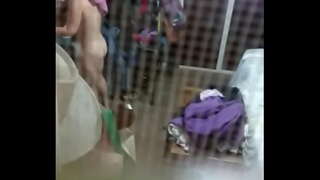 Spiunimit të pjekur argenta