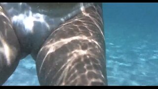 Mainit na sisiw sa loob ng d, ang tubig sa porto da barra salvador bahia