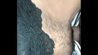 Comer a miña cadela no coche