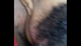 у шупак изданак