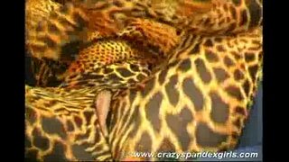 ���ရူးမန္တန်မိန်းကလေးကျီလိင်