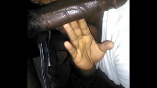 Бу төш поднимите башын белән диван