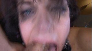 Harmonia - Abb Tur Inmune - asina 4 - trato 1