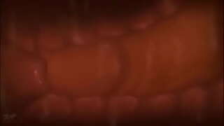 Â�ミングでは内宮